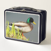 Lunch Box Photo de faune de canard colvert (Devant)