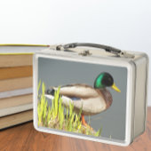 Lunch Box Photo de faune de canard colvert