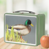 Lunch Box Photo de faune de canard colvert