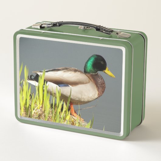 Lunch Box Photo de la faune de Mallard Duck (Dos)