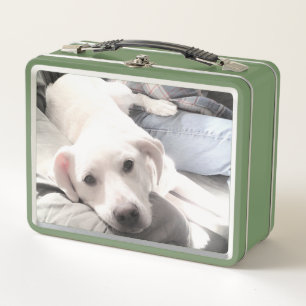 Lunch Box Photo de mignon chien avec Best Friend Green