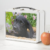 Lunch Box Photo noire mignonne d'animal familier de chiot de (En situation)