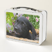 Lunch Box Photo noire mignonne d'animal familier de chiot de (Dos)