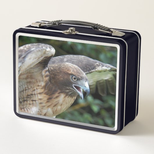 Lunch Box Photo Raptor Hawk à queue rouge (Devant)