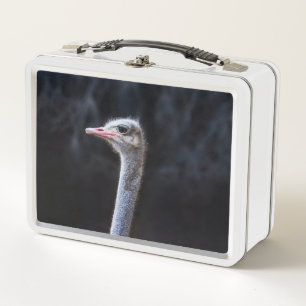 Lunch Box Photographie d'autruche