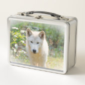 Lunch Box Photographie de la faune, Loup gris canadien (Devant)
