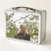 Lunch Box Photographie de singe, capucin à face blanche (Dos)