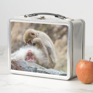 Lunch Box Photographie de singe, singe macaque japonais
