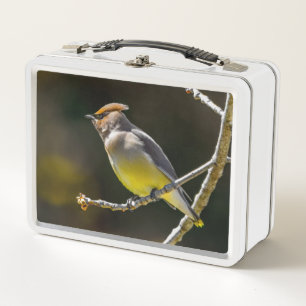 Lunch Box Photographie originale d'oiseau sauvage de Jaseur