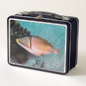 Lunch Box Picasso Maritime Triggerfish Swims Près De Coral R (Devant)