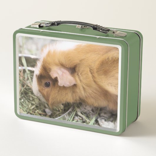Lunch Box Piggy (Dos)