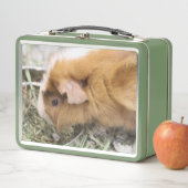 Lunch Box Piggy (En situation)