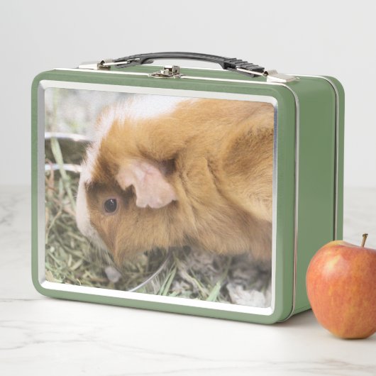 Lunch Box Piggy (En situation)