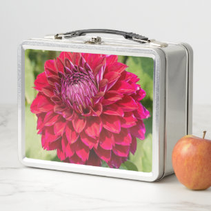 Lunch Box Pink Dahlia, Belle Photographie Fleur