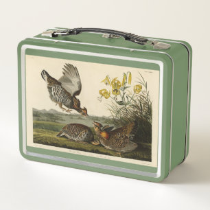 Lunch Box Pinnated Grouse