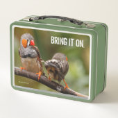 Lunch Box Pinsons zèbres effrontés oiseaux chanteurs sur une (Dos)