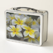 Lunch Box Plumeria, Fleur Jaune Photographie (Dos)