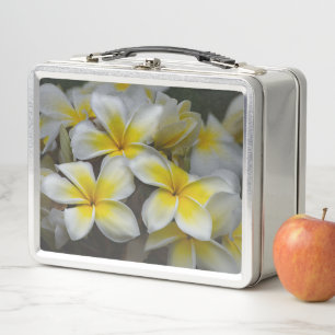 Lunch Box Plumeria, Fleur Jaune Photographie