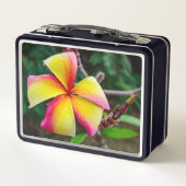 Lunch Box Plumeria rubra (Dos)
