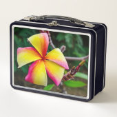 Lunch Box Plumeria rubra (Devant)