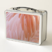 Lunch Box Plumes de Flamant rose dans les tons roses (Dos)