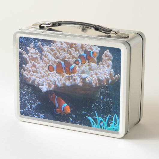 Lunch Box Poisson clown (Dos)