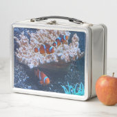 Lunch Box Poisson clown (En situation)