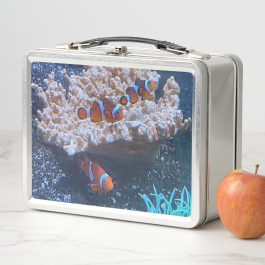 Lunch Box Poisson clown (En situation)