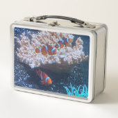 Lunch Box Poisson clown (Devant)