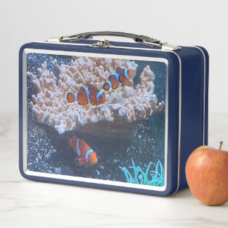 Lunch Box Poisson clown