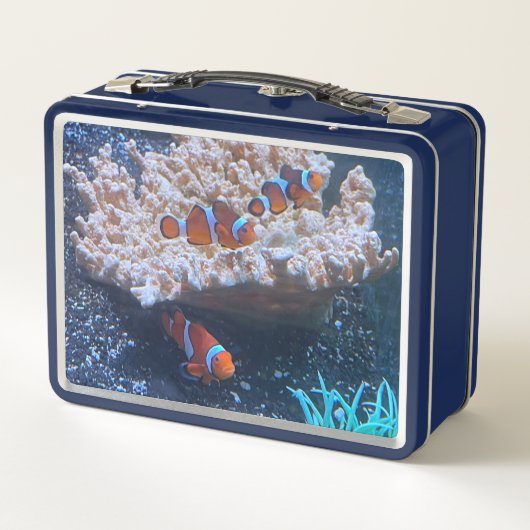 Lunch Box Poisson clown (Dos)