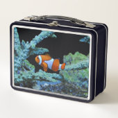 Lunch Box Poisson clown mou en corail (Devant)