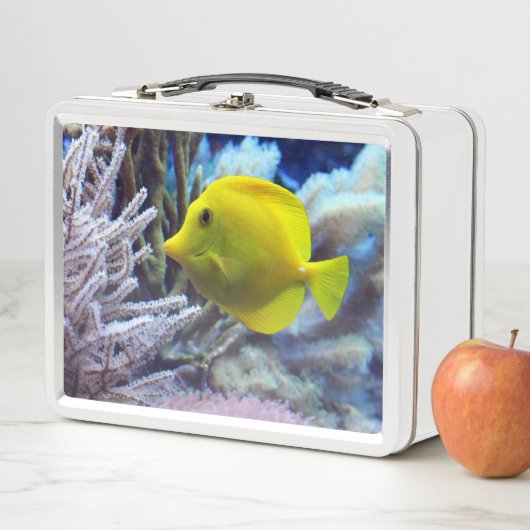 Lunch Box Poisson jaune (En situation)