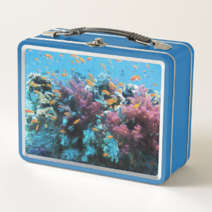 Lunch Box Poisson orange tropical et corail rose