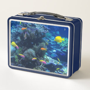 Lunch Box Poisson Tropical Jaune Photo Sous L'Eau