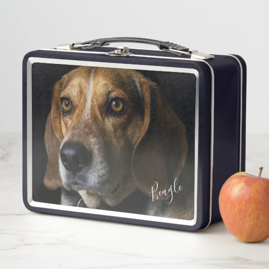 Lunch Box Portrait beagle (En situation)