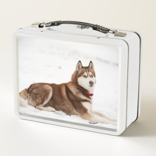 Lunch Box Portrait de Cute Sibérien Husky (Dos)