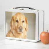 Lunch Box Portrait de Golden Retriever (En situation)