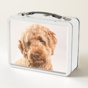 Lunch Box Portrait de Goldendoodle Studio