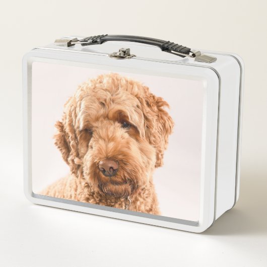 Lunch Box Portrait de Goldendoodle Studio (Devant)