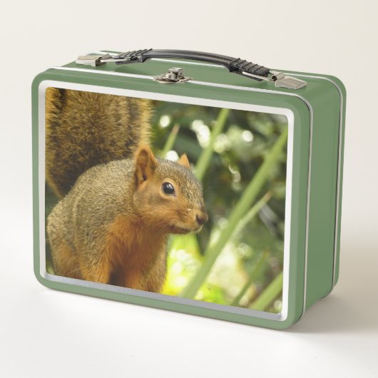 Lunch Box Portrait of a Squirrel Nature Animal Photography (Devant)