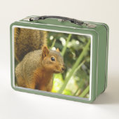 Lunch Box Portrait of a Squirrel Nature Animal Photography (Dos)