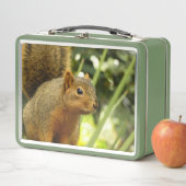 Lunch Box Portrait of a Squirrel Nature Animal Photography (En situation)