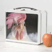 Lunch Box poule (En situation)