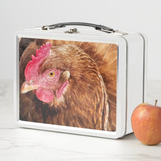 LUNCH BOX POULET CUIT (En situation)