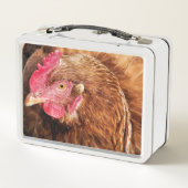 LUNCH BOX POULET CUIT (Dos)