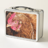 LUNCH BOX POULET CUIT (Dos)