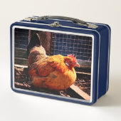 Lunch Box Poulet orange (Devant)