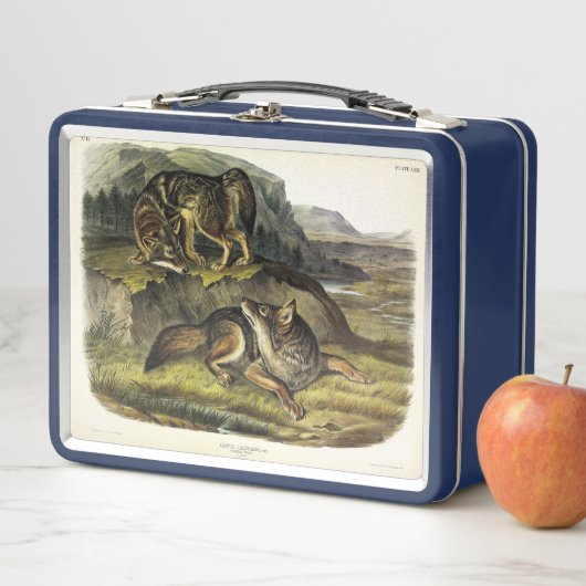 Lunch Box Prairie Wolf (En situation)
