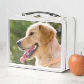 Lunch Box Profil d'extraction d'or avec une langue sortie (En situation)